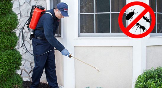 Sulusaray Hamam Böceği İlaçlama böcek ilaçlama ve haşere kontrolü — ilaclama-tr.com
